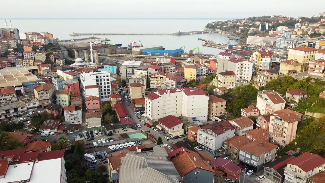 Dış Görünüm